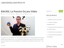 Tablet Screenshot of lebaiserdelamatrice.fr